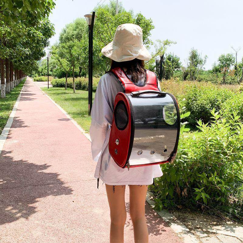Space Capsule Bird Carrier Travel Birdcage Backpack - Image 6