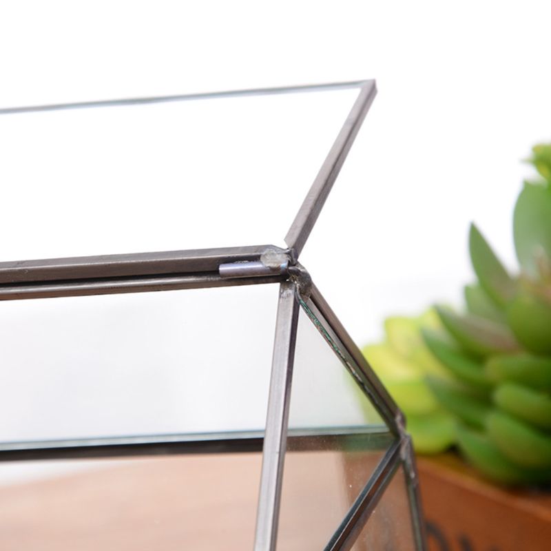 Mini Tabletop Handmade GreenHouse Terrarium - Image 5