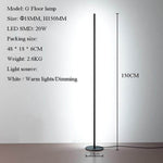 Elegant Vertical Atmospheric Floor Lamp