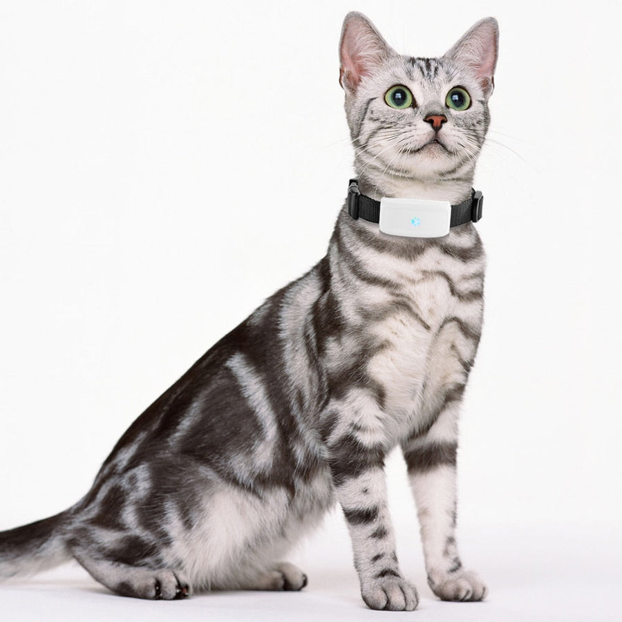 Waterproof GPS Pet Location Tracking Collar - Image 7