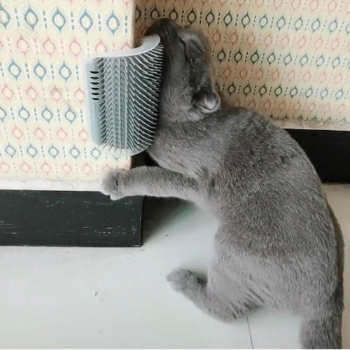 Corner Comfortable Cat Massager Brush - Image 0