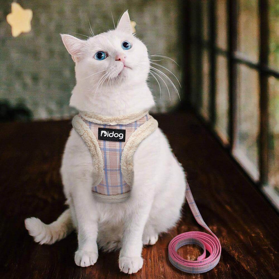 Sweet Warm Fur Pet Walking Leash - Image 11