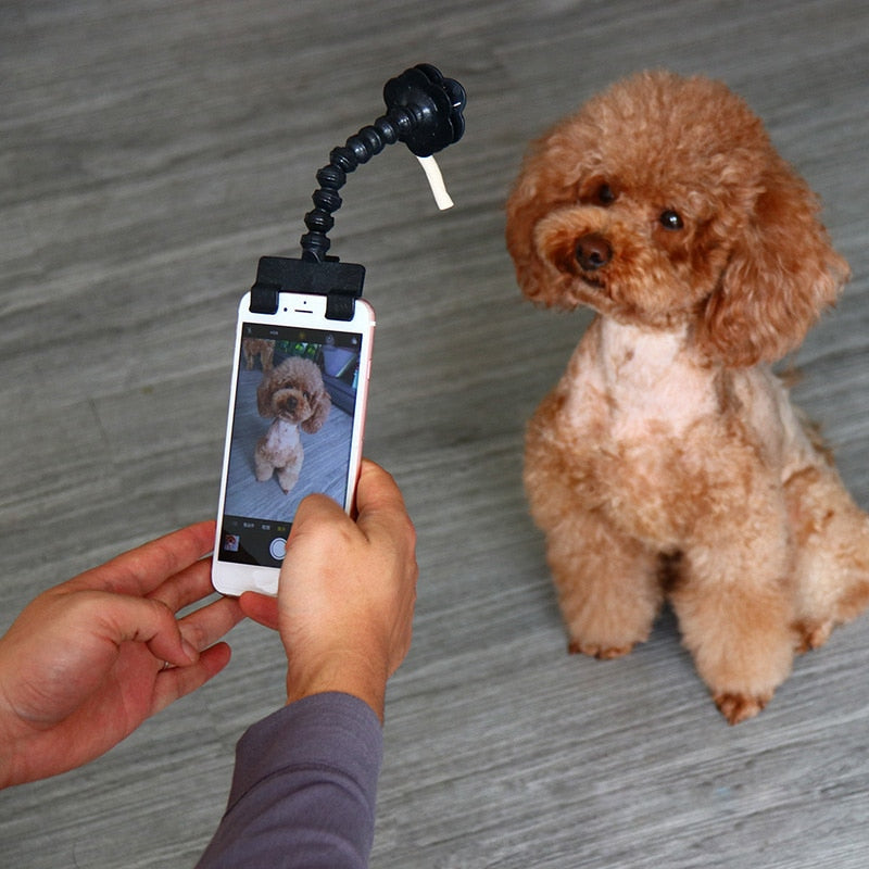 Pet Interactive Adjustable Selfie Stick - Image 0