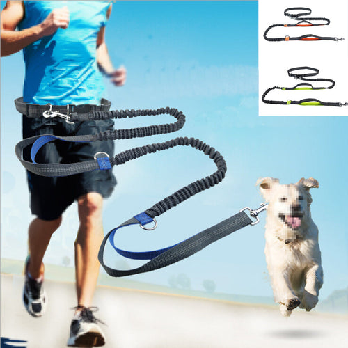 Hands-Free Elastic Waist Dog Leash - Image 0