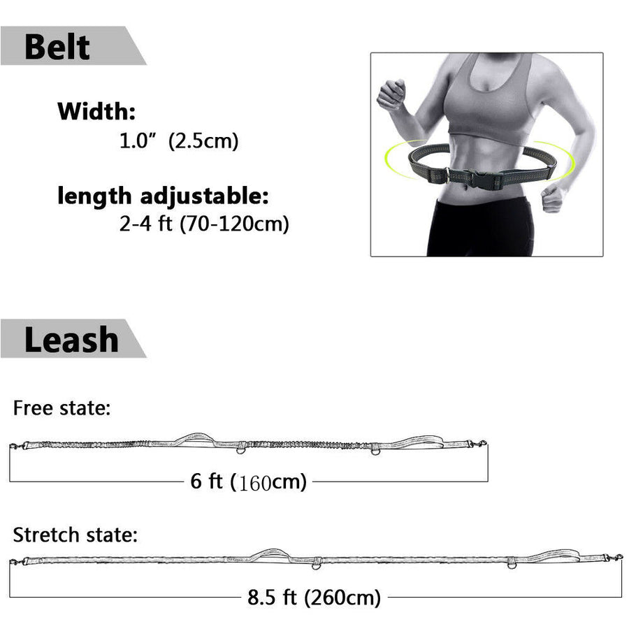 Hands-Free Elastic Waist Dog Leash - Image 2