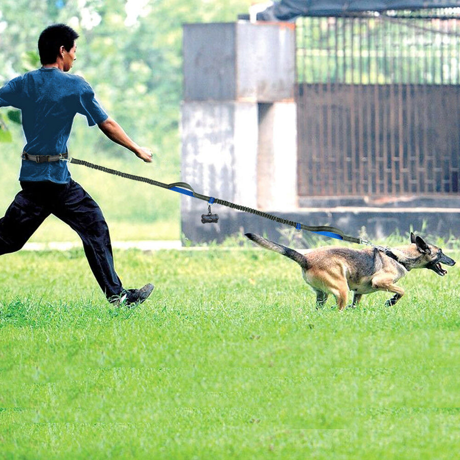 Hands-Free Elastic Waist Dog Leash - Image 8