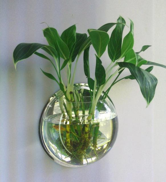 Wall Mounted Transparent Fish Tank Flower Vase - Image 4