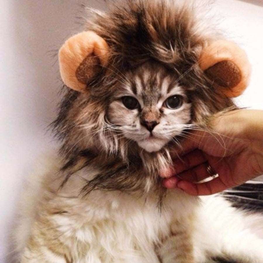 Lion Cat Wig - Image 2
