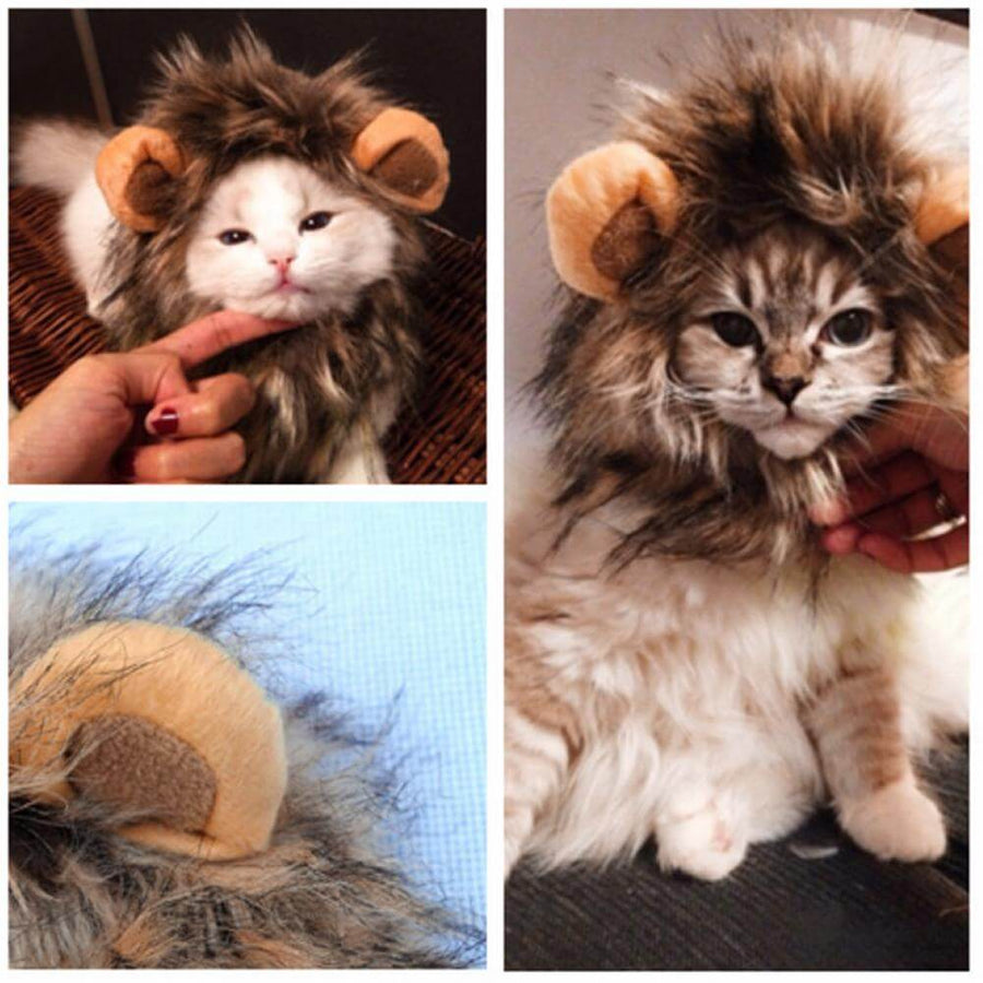 Lion Cat Wig - Image 3