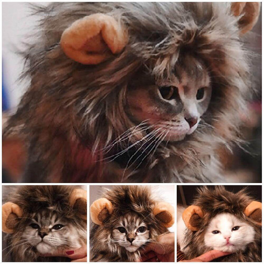 Lion Cat Wig - Image 4