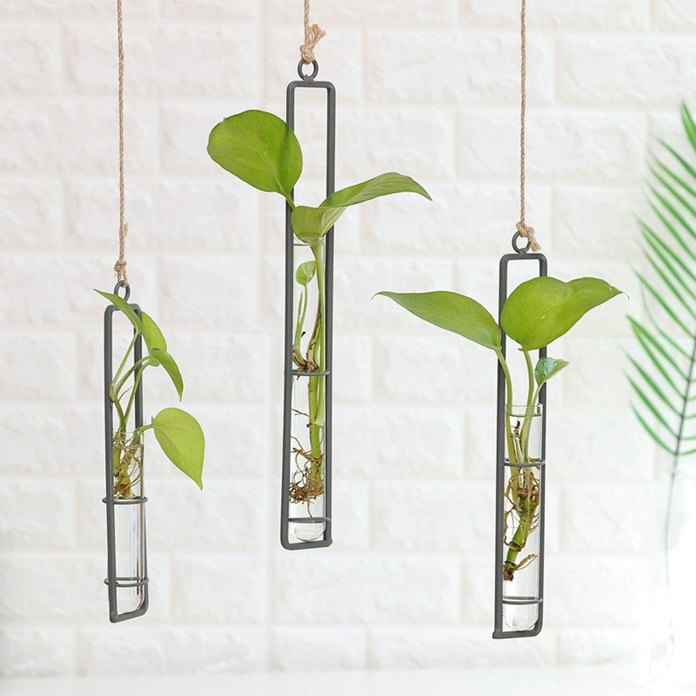 Iron Transparent Wall Hanging Flower Pot