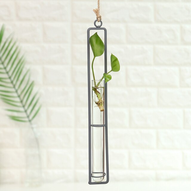 Iron Transparent Wall Hanging Flower Pot - Image 2