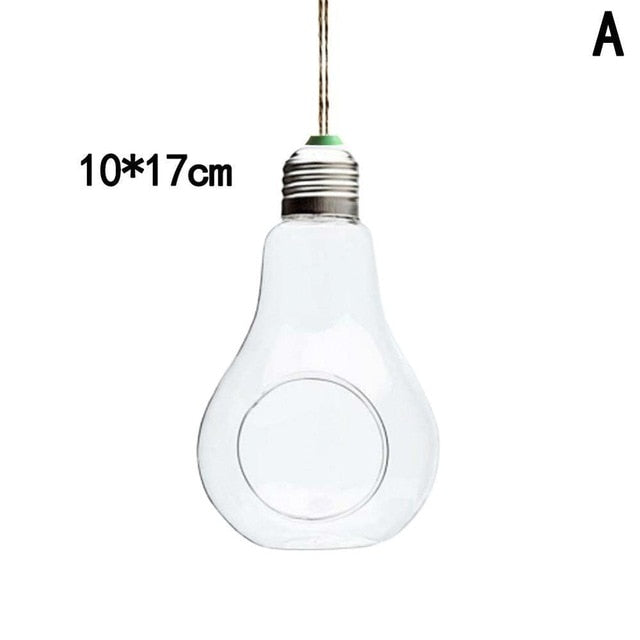 Hanging Glass Light Bulb Lamp Shape Flower Water Plant