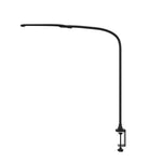 Gooseneck Dimmable Clip On Desk Lamp