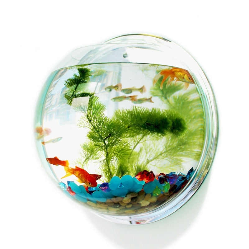 Wall-Mounted Modern Acrylic Fish Tank - Image 0