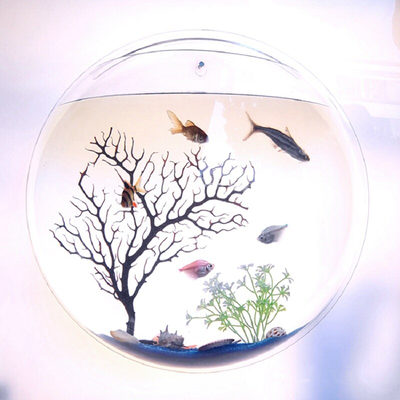 Wall-Mounted Modern Acrylic Fish Tank