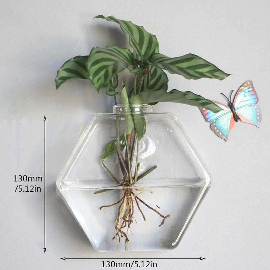Wall Hanging Hydroponic Glass Vases - Image 12