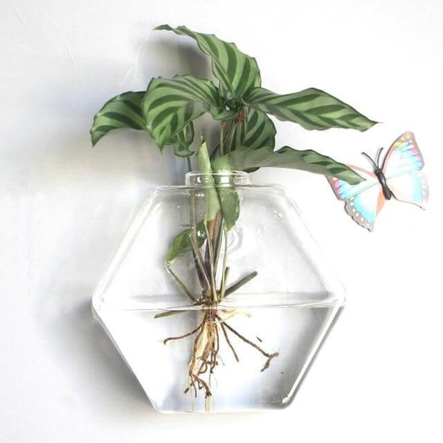 Wall Hanging Hydroponic Glass Vases - Image 5