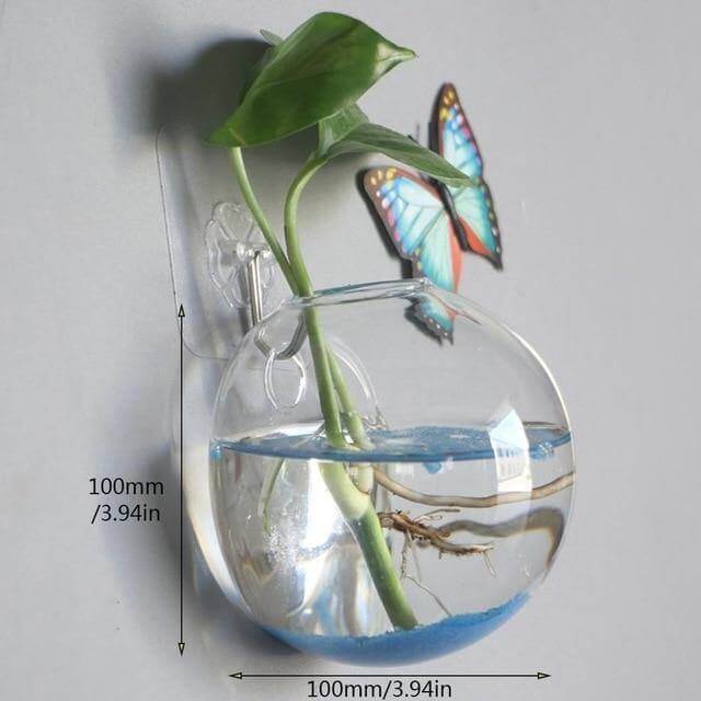 Wall Hanging Hydroponic Glass Vases