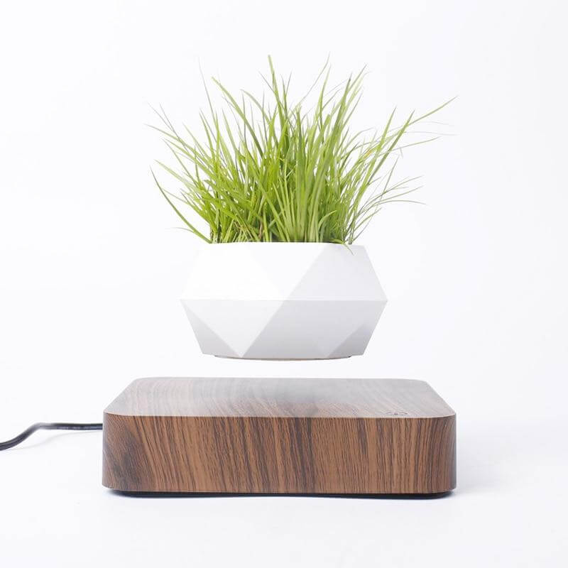 Levitating Magnetic Flower Pot