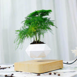 Levitating Magnetic Flower Pot