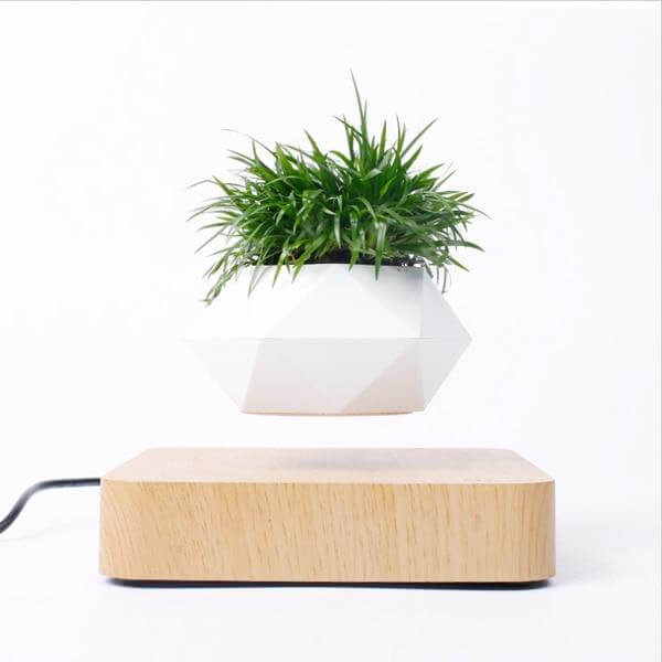 Levitating Magnetic Flower Pot