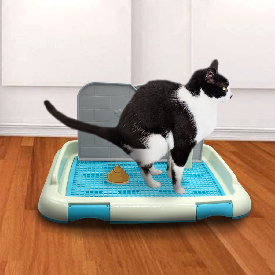 Portable Pet Toilet Training Tray - Image 0