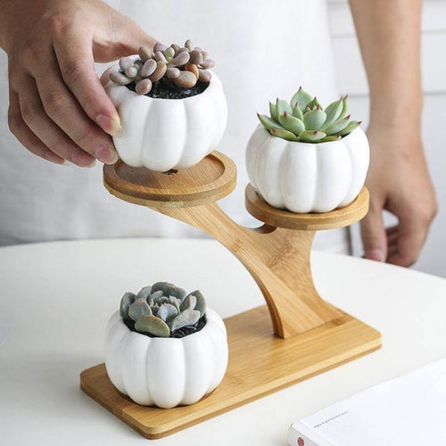 3 Tier Succulent Bamboo Vase Stand - Image 0