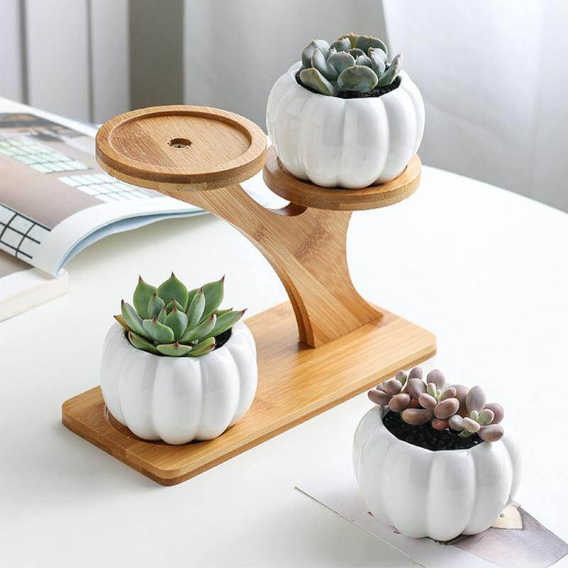 3 tier succulent planter Pumpkin Shape Ceramic Succulent Plant Flower Pot Planter Holder Bamboo Shelf
