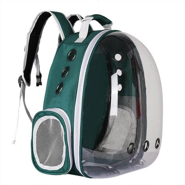 Transparent Breathable Pet Carrier Backpack - Image 1