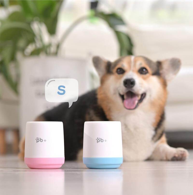 Portable Easy Pet Foot Washer - Image 9