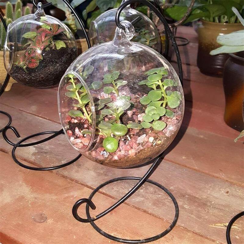 Creative Clear Glass Ball Vase - Image 4