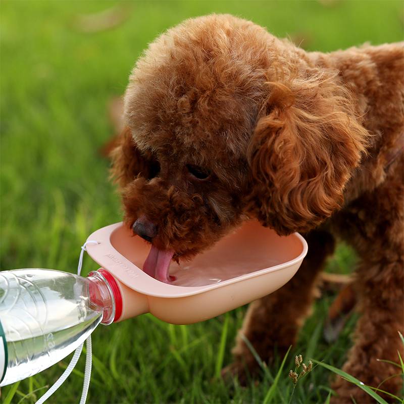 Portable Travel Pet Bottle Water Feeder