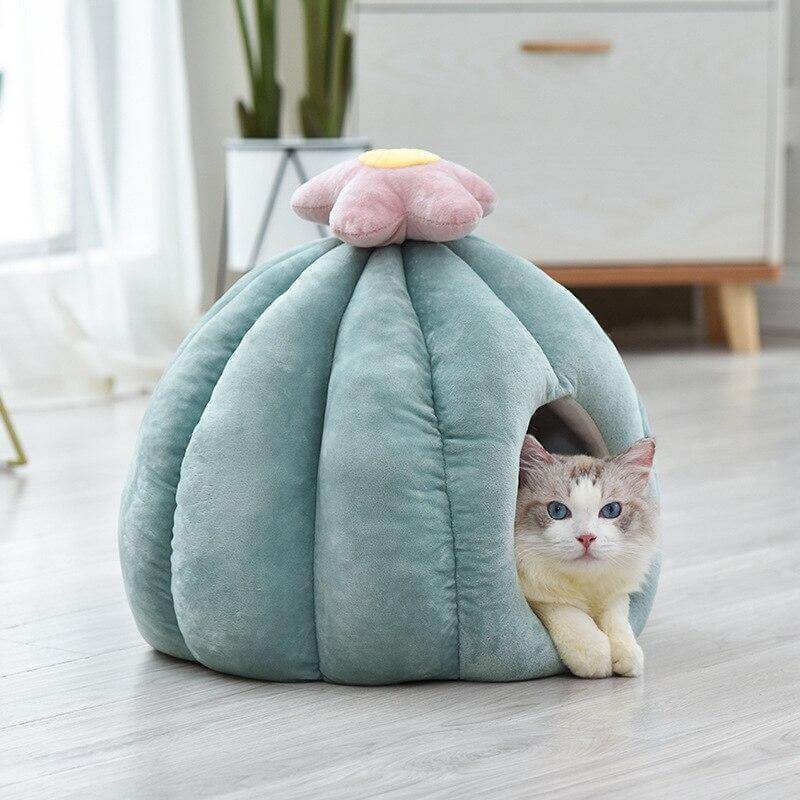 Cactus Shape Cat Bed - Image 0