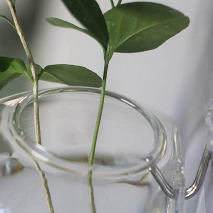 Wall Hanging Hydroponic Glass Vases - Image 1