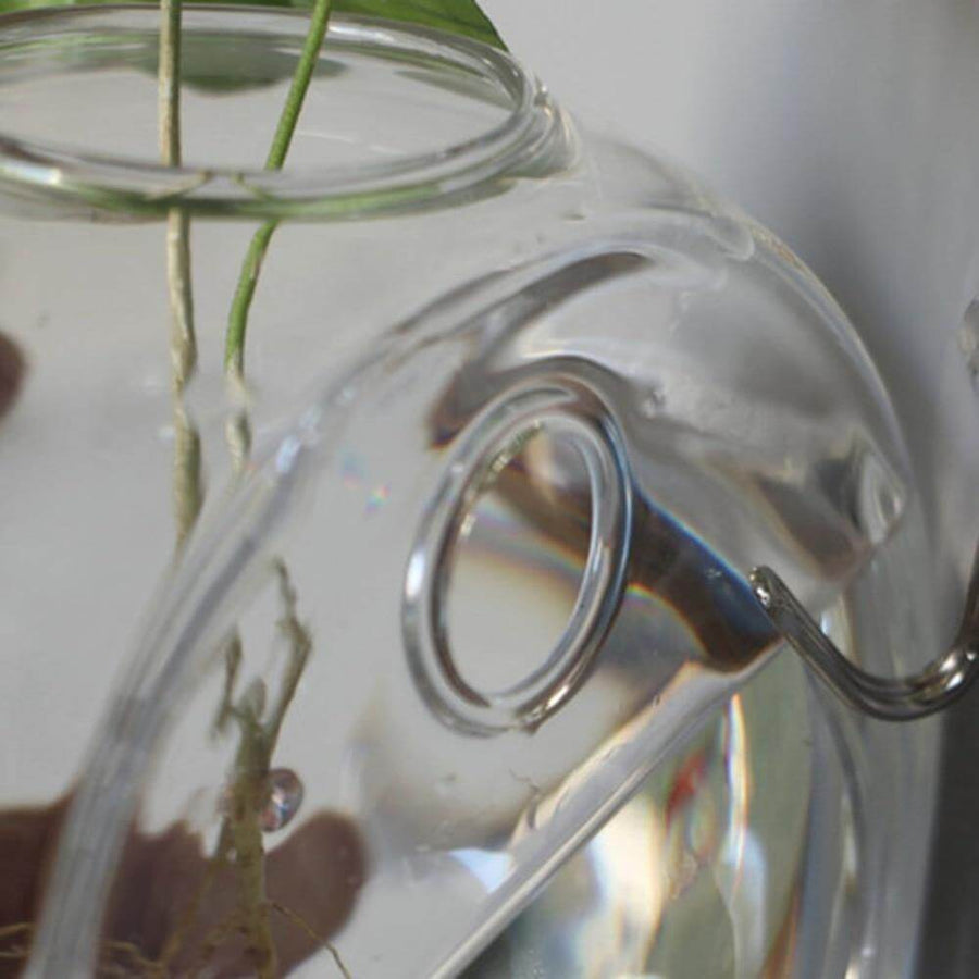 Wall Hanging Hydroponic Glass Vases - Image 7