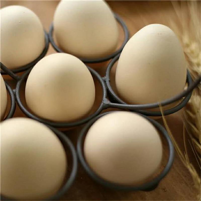 Creative Chicken Eggs Basket