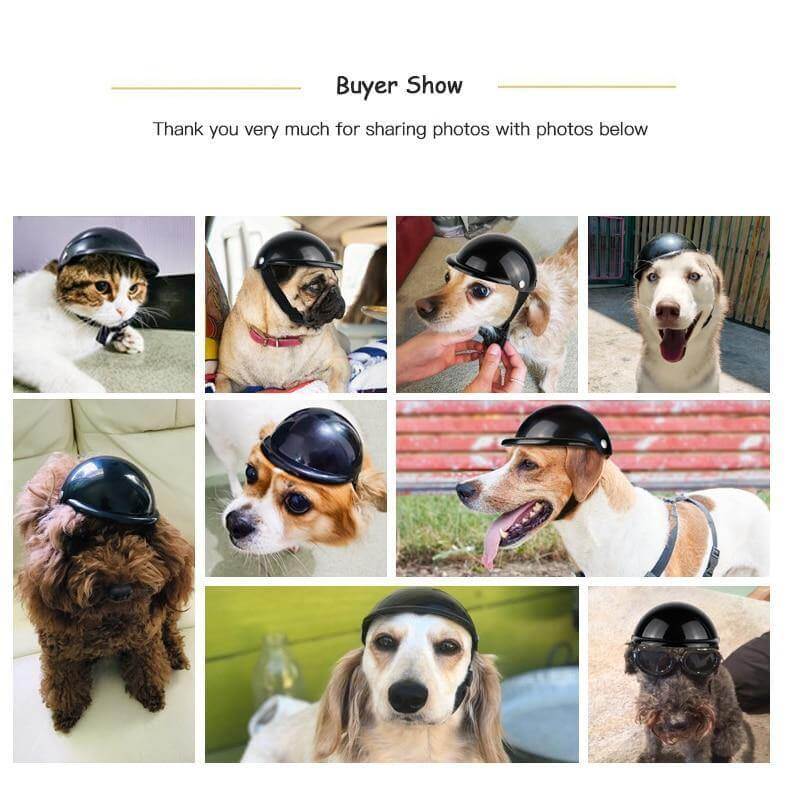 Cool Pet Fashion Helmet & Riding Cap