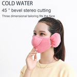 2in1 Unisex Winter Cold Proof Earmuff Mask