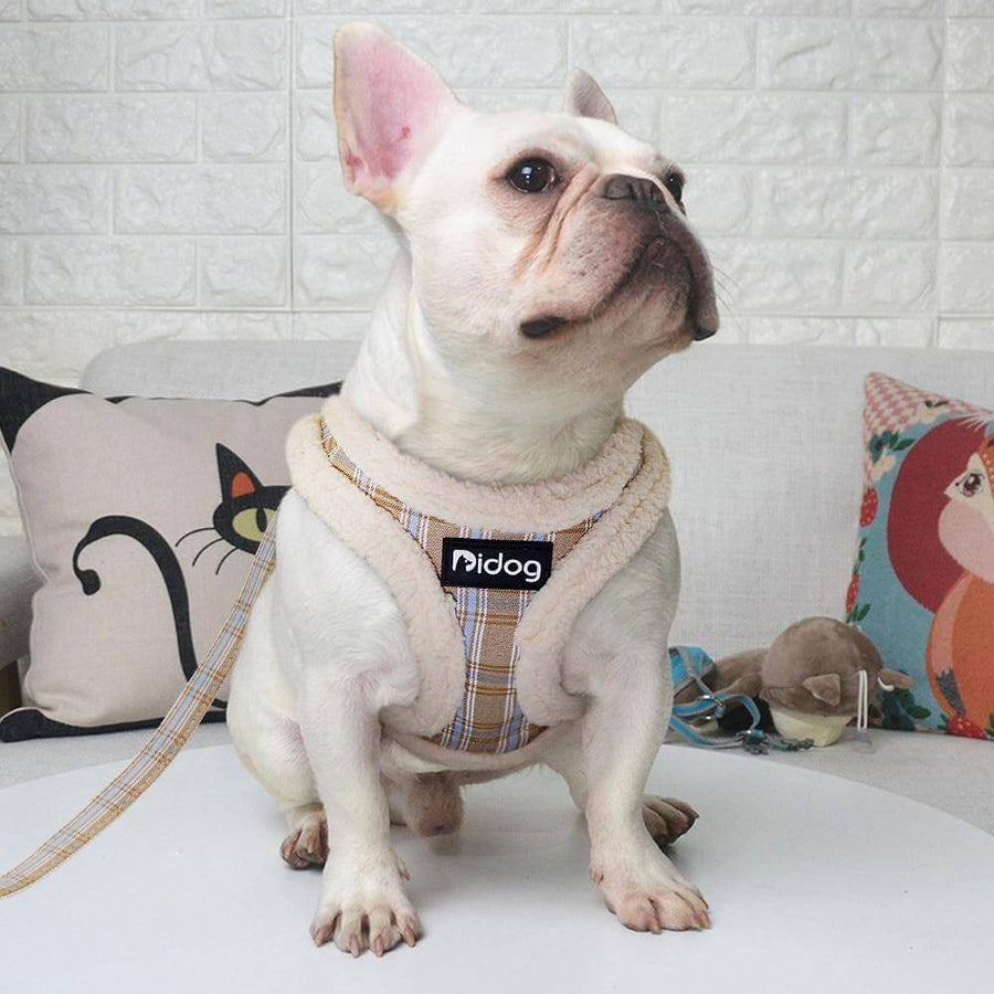 Sweet Warm Fur Pet Walking Leash - Image 8