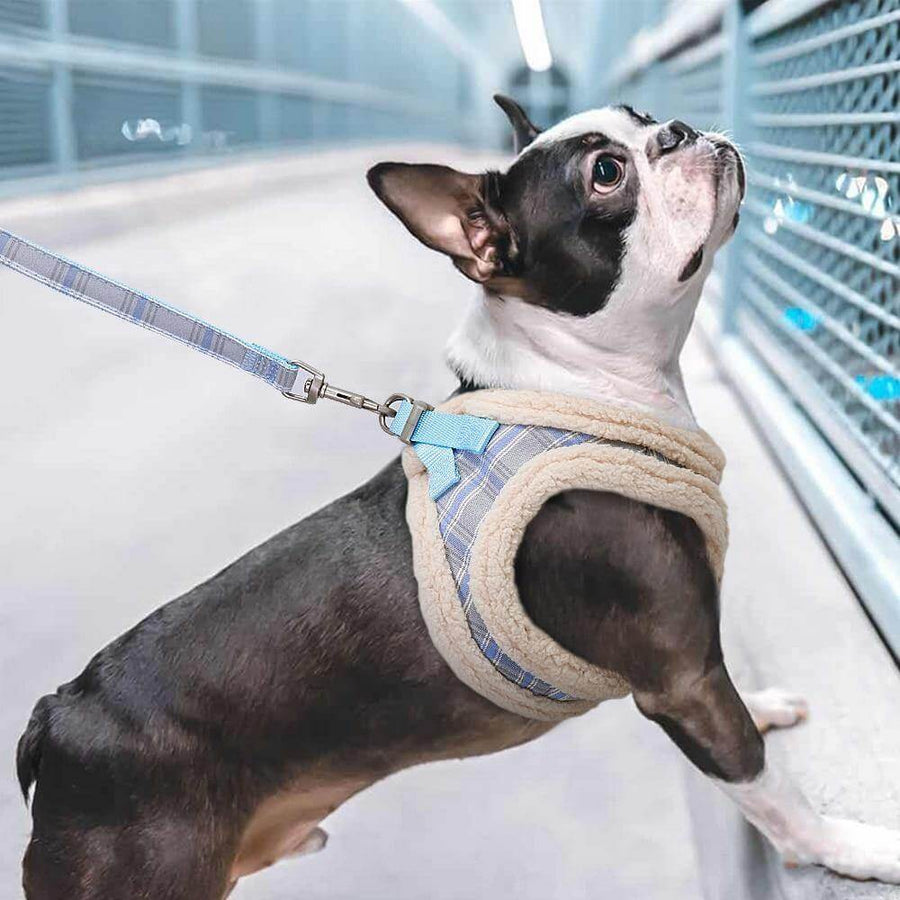 Sweet Warm Fur Pet Walking Leash - Image 13