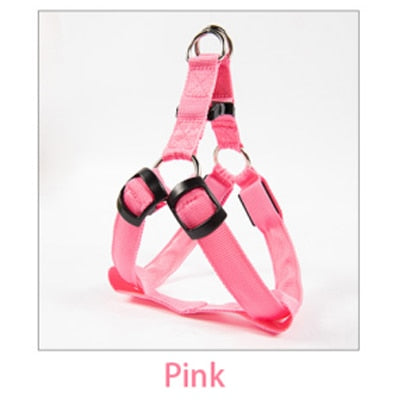 Rechargeable Luminous LED Dog Leash - Image 8