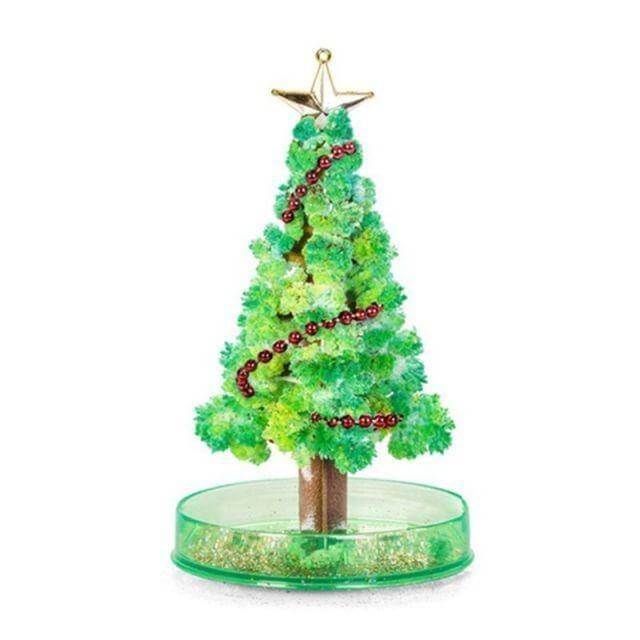DIY Magic Growing Christmas Tree - Image 8