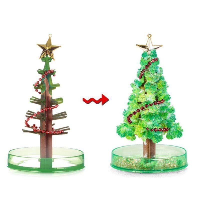 DIY Magic Growing Christmas Tree - MaviGadget