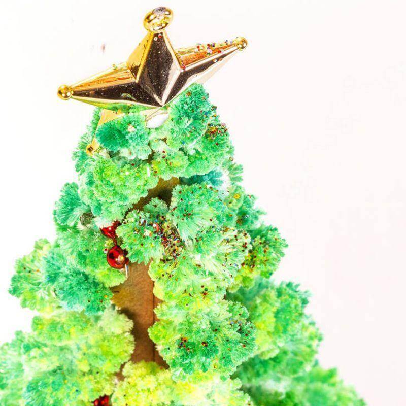 DIY Magic Growing Christmas Tree - MaviGadget