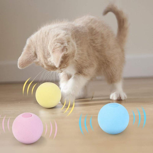 Pet Interactive Training Sound Ball - Image 0