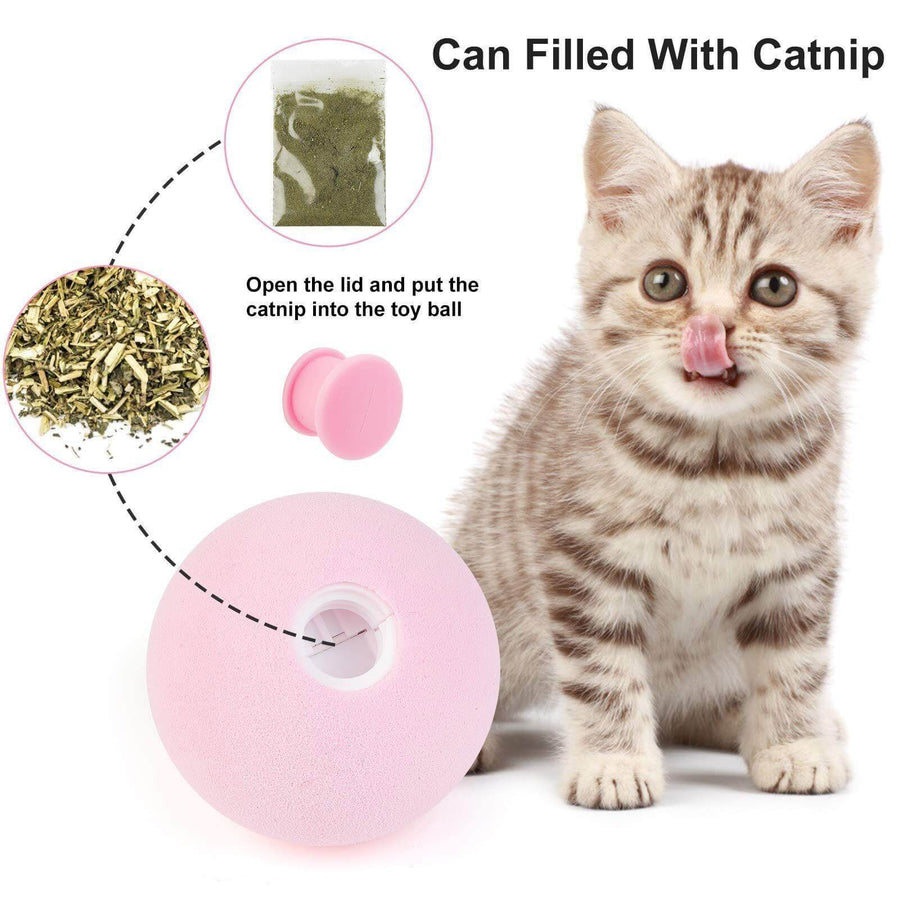 Pet Interactive Training Sound Ball - Image 10