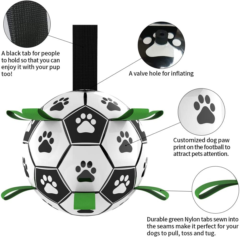 Interactive Pet Training Toy Ball