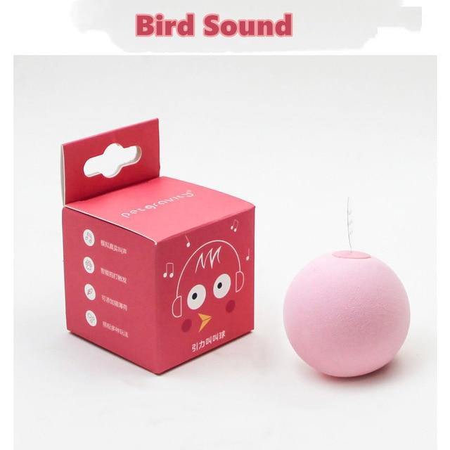 Pet Interactive Training Sound Ball