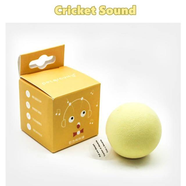 Pet Interactive Training Sound Ball - Image 1